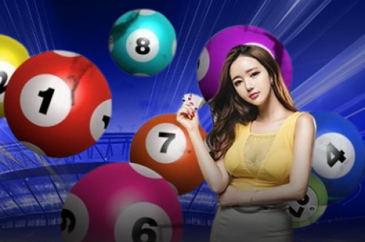澳门六合彩号  第4张